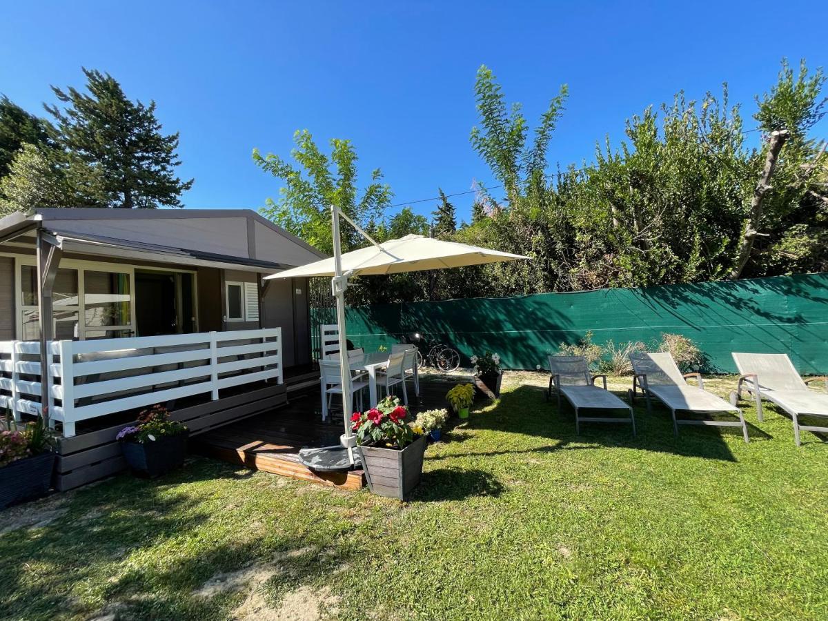 Avignon, Joli Chalet En Campagne Tres Proche De La Ville المظهر الخارجي الصورة